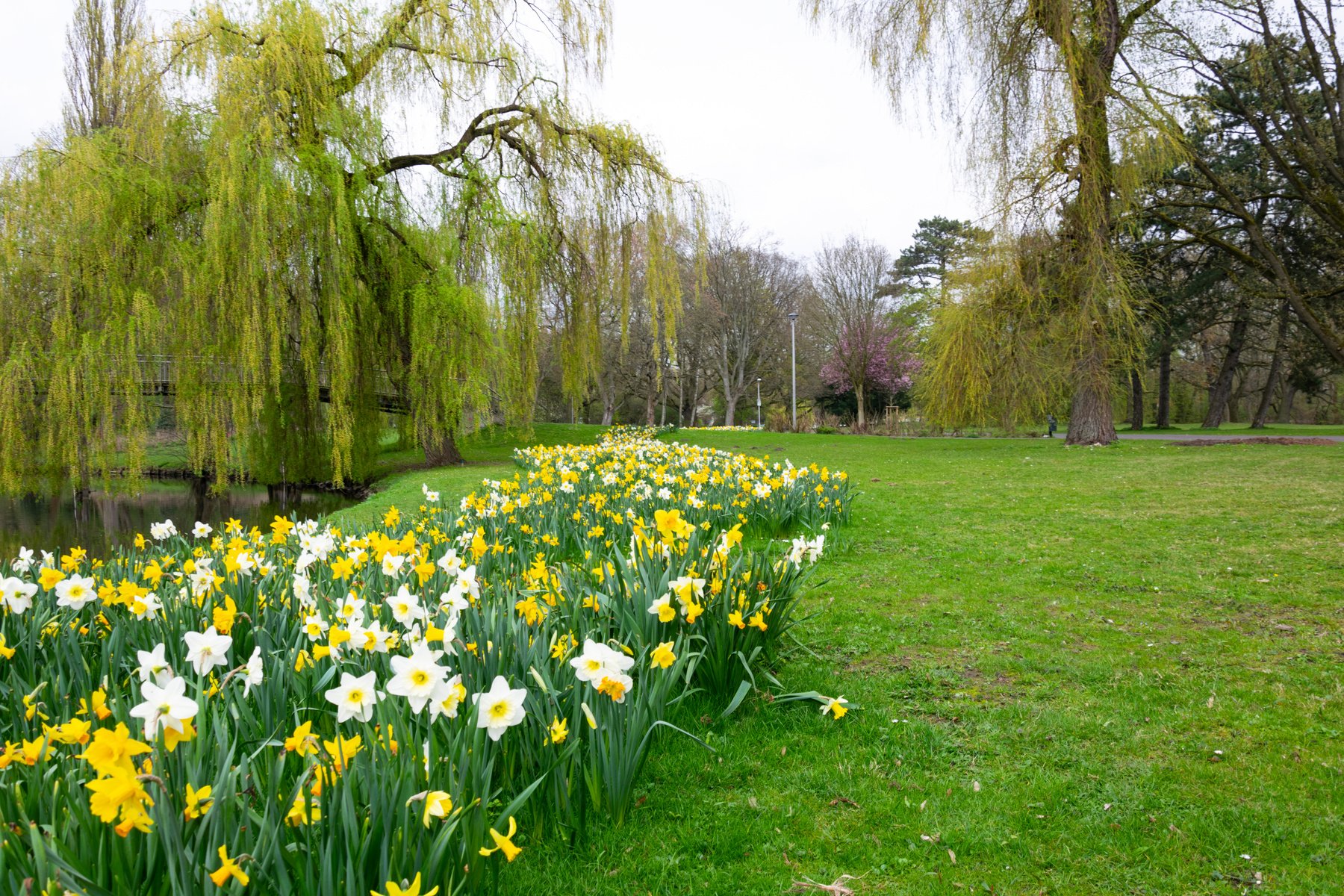 Spring in Buerger Park, Braunschweig